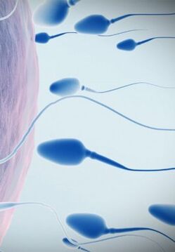 Spermogram for low power