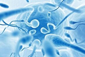 semen in men's discharge during arousal